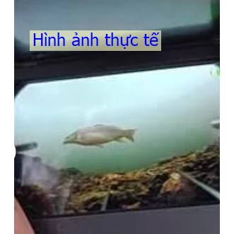 Máy dò cá dưới nước hình ảnh HD rõ nét bền bỉ - Ảnh 4